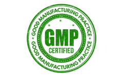 gmp Logo