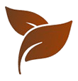 natural-herbs SVG Logo