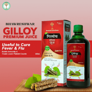 GILLOY PREMIUM JUICE 500 ML