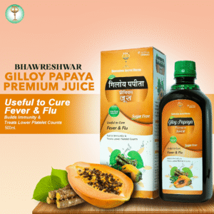 GILLOY PAPAYA PREMIUM JUICE 500 ML