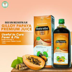 GILLOY PAPAYA PREMIUM JUICE 1000 ML